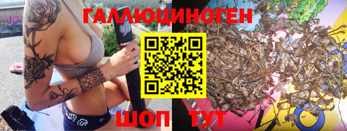 Псилоцибиновые грибы ЛСД Керчь